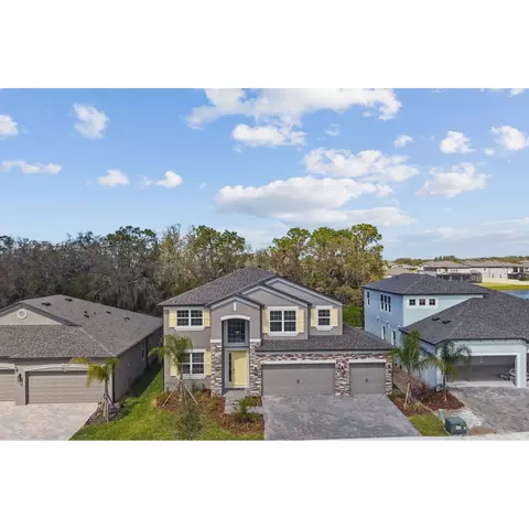 View/Area - 5046 Bromeliad Ave, Wimauma, FL 33598 photo 2 of 4