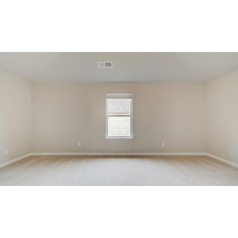 430 Sawmill Trce, Hampton, GA 30228 photo 18