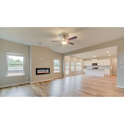 430 Sawmill Trce, Hampton, GA 30228 photo 8