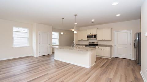 430 Blue Elderberry Run, Moncks Corner, SC 29461 photo 7