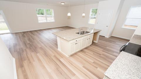 430 Blue Elderberry Run, Moncks Corner, SC 29461 photo 10
