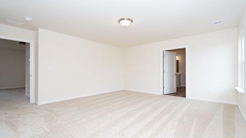 430 Blue Elderberry Run, Moncks Corner, SC 29461 photo 32