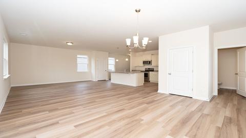 430 Blue Elderberry Run, Moncks Corner, SC 29461 photo 17