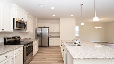 430 Blue Elderberry Run, Moncks Corner, SC 29461 photo 9
