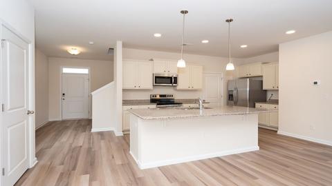 430 Blue Elderberry Run, Moncks Corner, SC 29461 photo 6