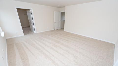 430 Blue Elderberry Run, Moncks Corner, SC 29461 photo 31