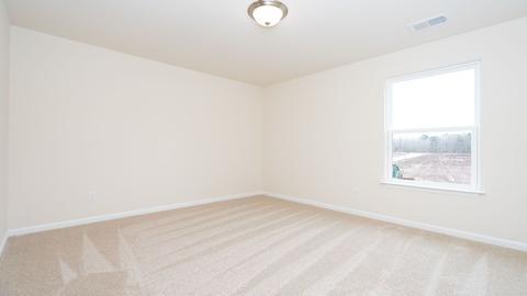 430 Blue Elderberry Run, Moncks Corner, SC 29461 photo 27