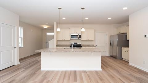 430 Blue Elderberry Run, Moncks Corner, SC 29461 photo 3