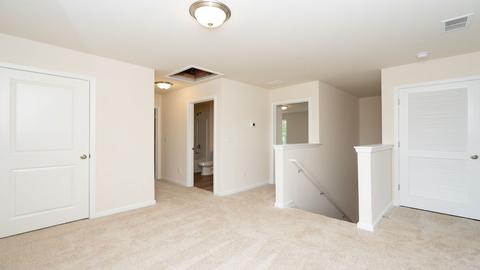 430 Blue Elderberry Run, Moncks Corner, SC 29461 photo 21