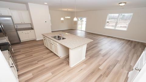 430 Blue Elderberry Run, Moncks Corner, SC 29461 photo 5