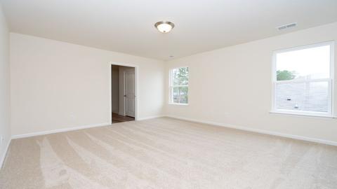 430 Blue Elderberry Run, Moncks Corner, SC 29461 photo 30