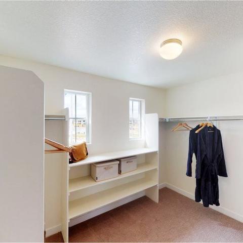 5169 E 144th Pl, Thornton, CO 80602 photo 15