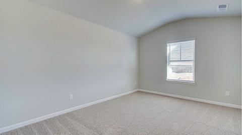 1100 Custom Trce, Hampton, GA 30228 photo 17