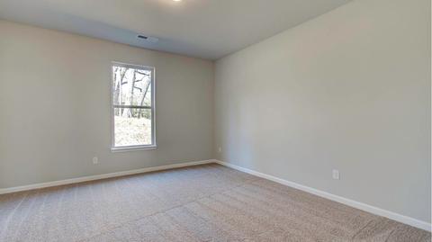 1100 Custom Trce, Hampton, GA 30228 photo 10