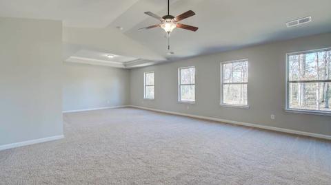 1100 Custom Trce, Hampton, GA 30228 photo 28