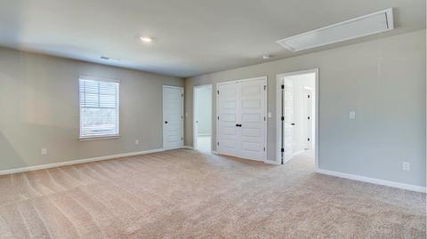1100 Custom Trce, Hampton, GA 30228 photo 19