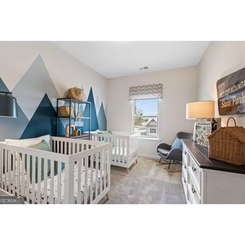 10459 Trellis Ln, Hampton, GA 30228 photo 31