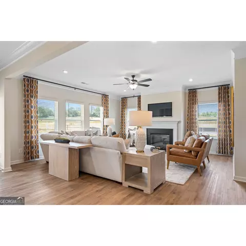 10459 Trellis Ln, Hampton, GA 30228 photo 17