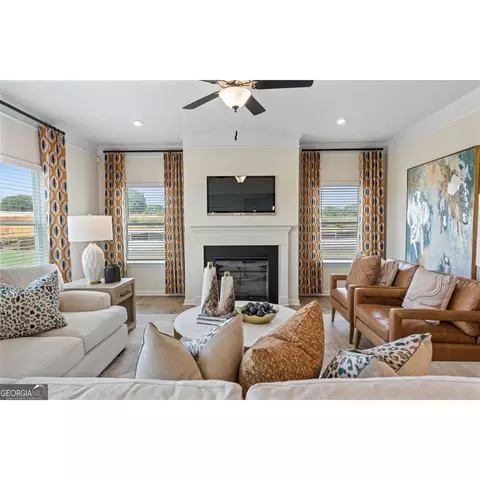 10459 Trellis Ln, Hampton, GA 30228 photo 8