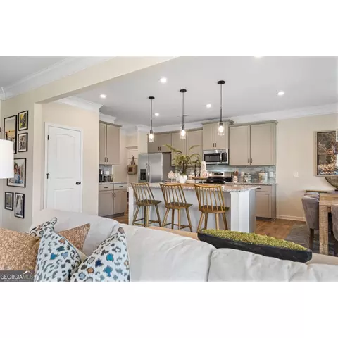 10459 Trellis Ln, Hampton, GA 30228 photo 16