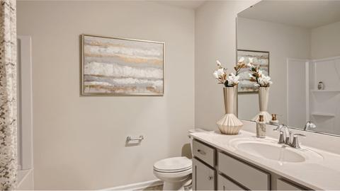 246 E Compass Way, Easley, SC 29640 photo 10