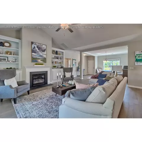 243 Doolittle Dr, Chapin, SC 29036 photo 11