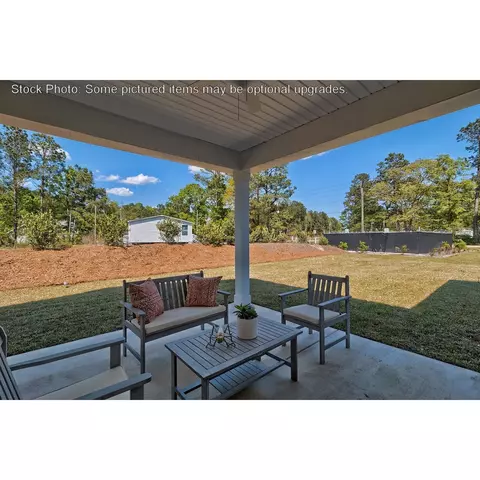 243 Doolittle Dr, Chapin, SC 29036 photo 29
