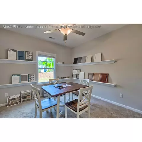 243 Doolittle Dr, Chapin, SC 29036 photo 26