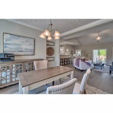 243 Doolittle Dr, Chapin, SC 29036 photo 5