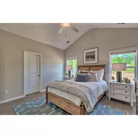 243 Doolittle Dr, Chapin, SC 29036 photo 18
