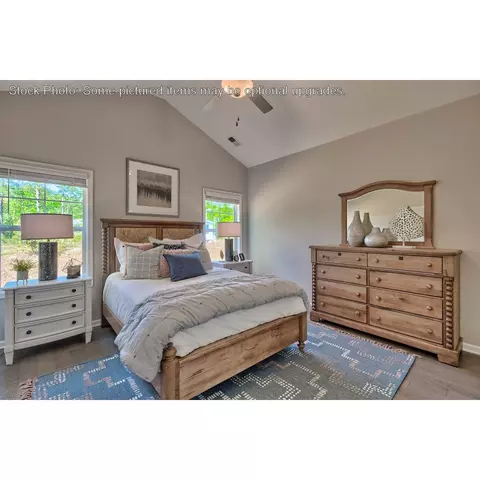 243 Doolittle Dr, Chapin, SC 29036 photo 19