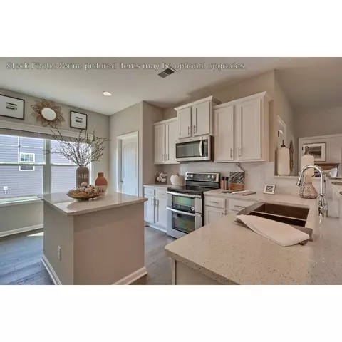 243 Doolittle Dr, Chapin, SC 29036 photo 14