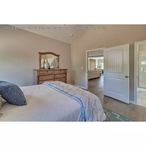 243 Doolittle Dr, Chapin, SC 29036 photo 20
