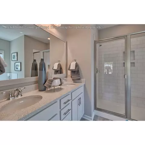 243 Doolittle Dr, Chapin, SC 29036 photo 21
