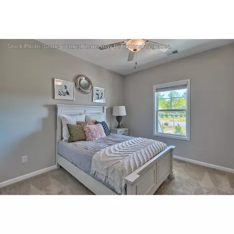 243 Doolittle Dr, Chapin, SC 29036 photo 23