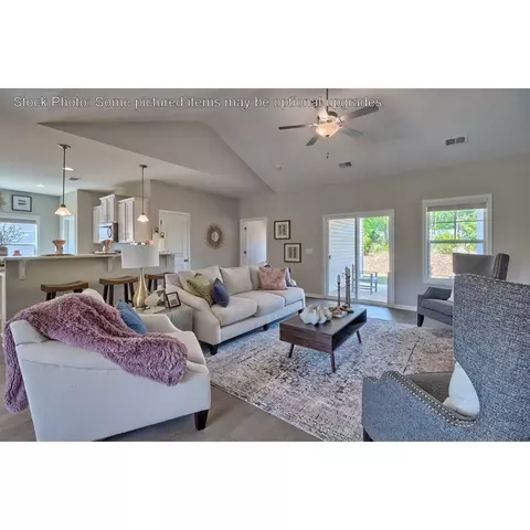243 Doolittle Dr, Chapin, SC 29036 photo 9