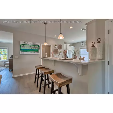 243 Doolittle Dr, Chapin, SC 29036 photo 12