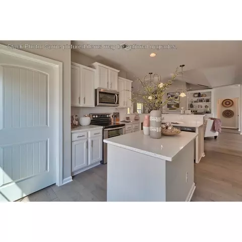 243 Doolittle Dr, Chapin, SC 29036 photo 15