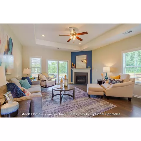 244 Doolittle Dr, Chapin, SC 29036 photo 3