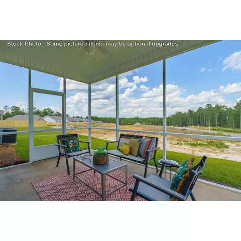 244 Doolittle Dr, Chapin, SC 29036 photo 28