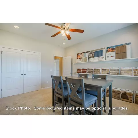 244 Doolittle Dr, Chapin, SC 29036 photo 23