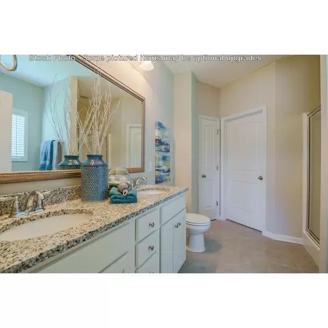 244 Doolittle Dr, Chapin, SC 29036 photo 19