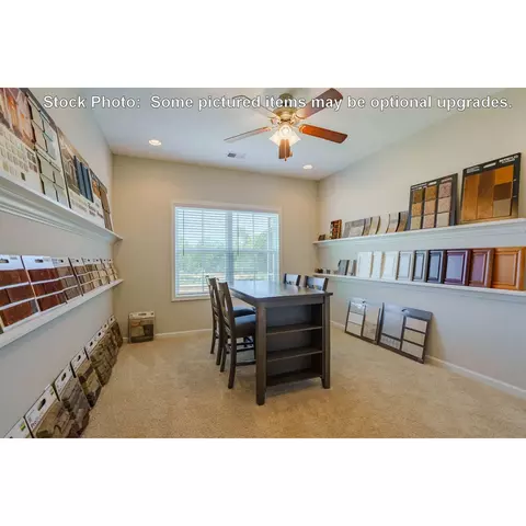 244 Doolittle Dr, Chapin, SC 29036 photo 21