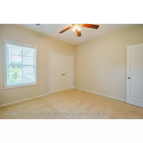 244 Doolittle Dr, Chapin, SC 29036 photo 27