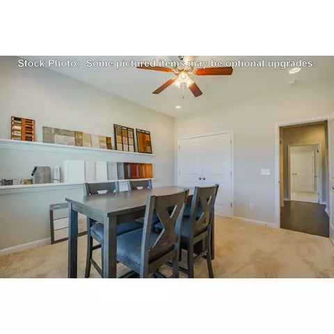 244 Doolittle Dr, Chapin, SC 29036 photo 22