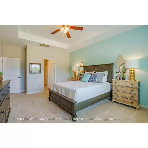 244 Doolittle Dr, Chapin, SC 29036 photo 18