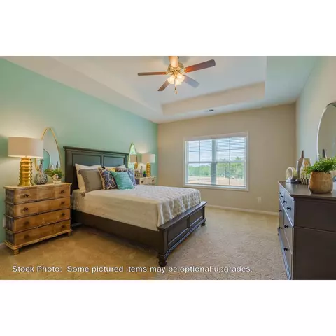 244 Doolittle Dr, Chapin, SC 29036 photo 16