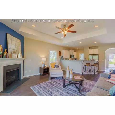 244 Doolittle Dr, Chapin, SC 29036 photo 6