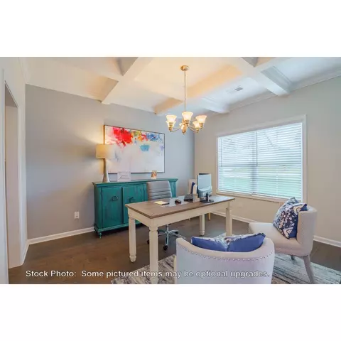 244 Doolittle Dr, Chapin, SC 29036 photo 12