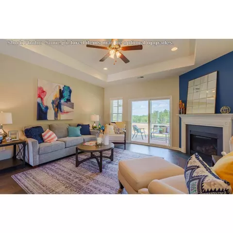 244 Doolittle Dr, Chapin, SC 29036 photo 5